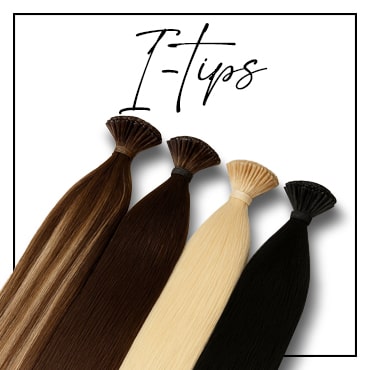 cover image for itips collection